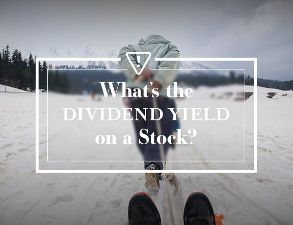 What Is the Dividend Yield?