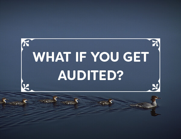 What If You Get Audited?